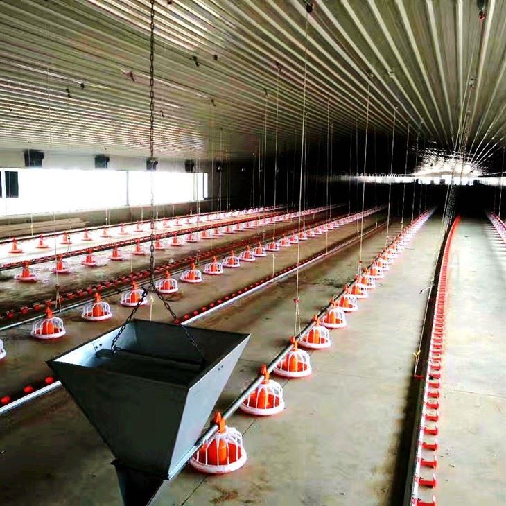Chicken House Farm